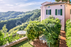 Huis te koop in  CAMAIORE (LU)