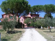 Klein huisje op het platteland te koop in  FAUGLIA (PI)