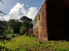 Huis op het platteland te koop in  ROMA (RM)
